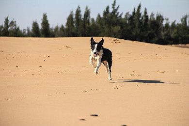 提刀入倭岛《平寇志》DLC“邪马台之影”现已正式发售